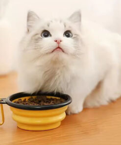 ظرف سیلیکونی تاشو آب و غذای مسافرتی حیوانات 350 میلی لیتری