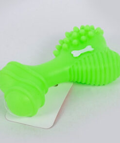 استخوان سرگرمی و اسباب بازی سگ