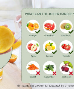 آبمیوه گیری شارژی قابل حمل کد 48584 16 آبمیوه گیری شارژی قابل حمل مدل 48584 - 6